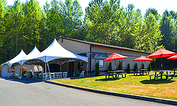 DREAM VISION FUNDRAISER FOR JAPAN RELIEF AT THE MATTHEWS WINERY