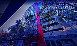 THE MARTIN FOR THE HOLIDAYS