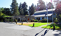 LOVE IN BLOOM AT WISTERIA HALL