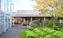 SPRING HAS SPRUNG BAT MITZVAH