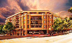 THE YEAR OF THE DRAGON IN STYLE