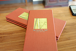 TERRACOTTA RED MODERN ASIAN BISTRO