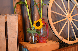 AMBER BBQ AND HOE DOWN