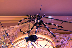 BOO FRIDAY AT RED LION