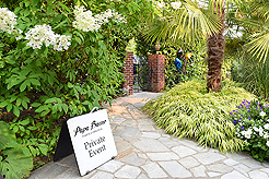 DAYLIGHT, DARK NIGHT AND BLUE SKIES WITH PAPA BUENO