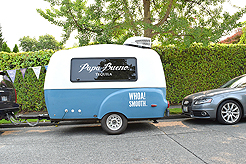 DAYLIGHT, DARK NIGHT AND BLUE SKIES WITH PAPA BUENO