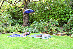 DAYLIGHT, DARK NIGHT AND BLUE SKIES WITH PAPA BUENO