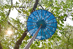 DAYLIGHT, DARK NIGHT AND BLUE SKIES WITH PAPA BUENO