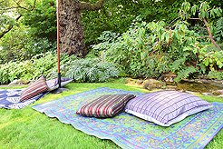 DAYLIGHT, DARK NIGHT AND BLUE SKIES WITH PAPA BUENO