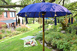 DAYLIGHT, DARK NIGHT AND BLUE SKIES WITH PAPA BUENO