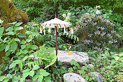 DAYLIGHT, DARK NIGHT AND BLUE SKIES WITH PAPA BUENO