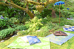 DAYLIGHT, DARK NIGHT AND BLUE SKIES WITH PAPA BUENO