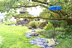 DAYLIGHT, DARK NIGHT AND BLUE SKIES WITH PAPA BUENO