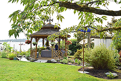 DAYLIGHT, DARK NIGHT AND BLUE SKIES WITH PAPA BUENO