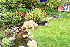 DAYLIGHT, DARK NIGHT AND BLUE SKIES WITH PAPA BUENO