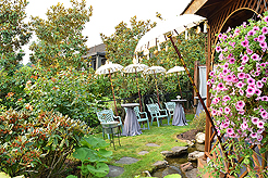 DAYLIGHT, DARK NIGHT AND BLUE SKIES WITH PAPA BUENO