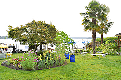 DAYLIGHT, DARK NIGHT AND BLUE SKIES WITH PAPA BUENO