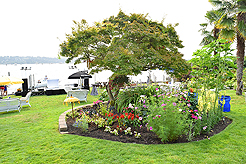 DAYLIGHT, DARK NIGHT AND BLUE SKIES WITH PAPA BUENO