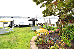 DAYLIGHT, DARK NIGHT AND BLUE SKIES WITH PAPA BUENO