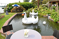 DAYLIGHT, DARK NIGHT AND BLUE SKIES WITH PAPA BUENO