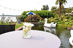 DAYLIGHT, DARK NIGHT AND BLUE SKIES WITH PAPA BUENO