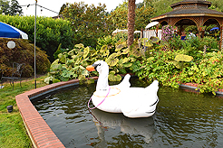 DAYLIGHT, DARK NIGHT AND BLUE SKIES WITH PAPA BUENO