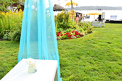 DAYLIGHT, DARK NIGHT AND BLUE SKIES WITH PAPA BUENO