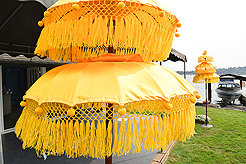 DAYLIGHT, DARK NIGHT AND BLUE SKIES WITH PAPA BUENO