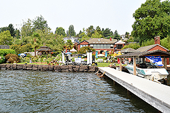 DAYLIGHT, DARK NIGHT AND BLUE SKIES WITH PAPA BUENO