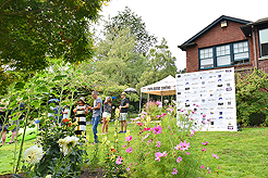 DAYLIGHT, DARK NIGHT AND BLUE SKIES WITH PAPA BUENO