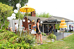 DAYLIGHT, DARK NIGHT AND BLUE SKIES WITH PAPA BUENO