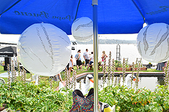 DAYLIGHT, DARK NIGHT AND BLUE SKIES WITH PAPA BUENO