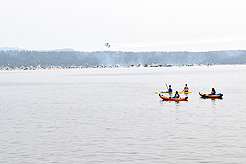 DAYLIGHT, DARK NIGHT AND BLUE SKIES WITH PAPA BUENO