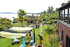 DAYLIGHT, DARK NIGHT AND BLUE SKIES WITH PAPA BUENO