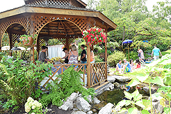 DAYLIGHT, DARK NIGHT AND BLUE SKIES WITH PAPA BUENO