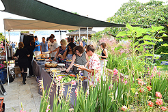 DAYLIGHT, DARK NIGHT AND BLUE SKIES WITH PAPA BUENO