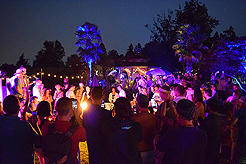 DAYLIGHT, DARK NIGHT AND BLUE SKIES WITH PAPA BUENO