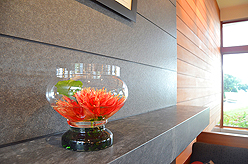 EVERGREEN SCHOOL SOCIAL