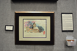 FABULOUS AGING CONFERENCE