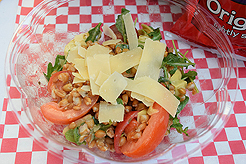 FABULOUS AGING CONFERENCE