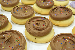 FABULOUS AGING CONFERENCE