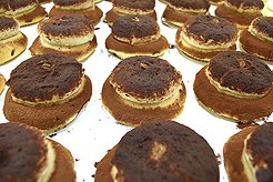 FABULOUS AGING CONFERENCE