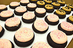 FABULOUS AGING CONFERENCE