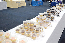 FABULOUS AGING CONFERENCE