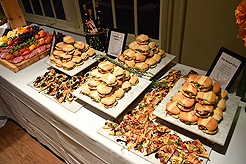 FRAN NORSTROM GUILD CARNIWINE 2.0