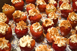 FRAN NORSTROM GUILD CARNIWINE 2.0