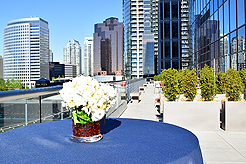 FRESH LOOK REAL ESTATE LAUNCH EVENT