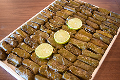 FRESH LOOK REAL ESTATE LAUNCH EVENT