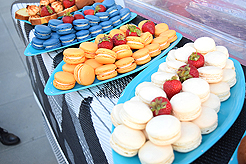 FRESH LOOK REAL ESTATE LAUNCH EVENT