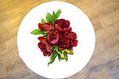 HEATHER CHRISTO BOOK LAUNCH